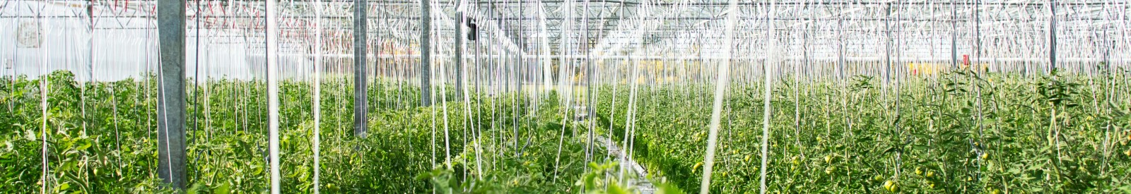 Agricultural Science Collection