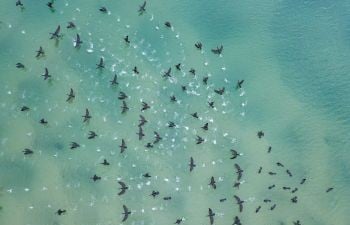When “Stranger Things” is over, head to the library to satisfy the need for weird and eerie
